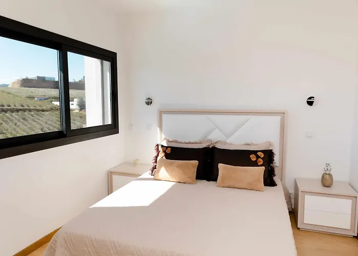 Casa Dos Mirtilos Duke T8 Celorico De Basto